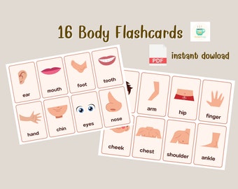 Tarjetas didácticas sobre las partes del cuerpo para niños: Educación preescolar (Descarga digital)