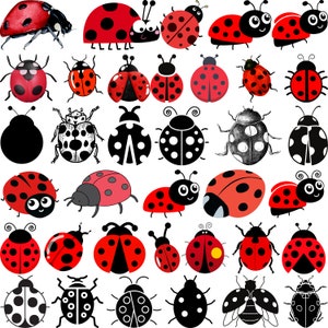 Ladybug Miraculous PNG, Vector, PSD, and Clipart With Transparent