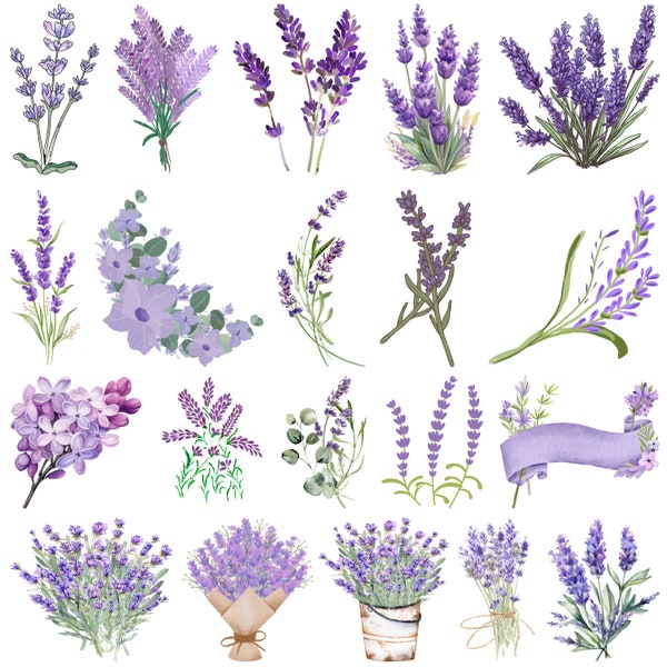 Lavender SVG Bundle, Lavender vector, Lavender outline, Lavender clipart, Wildflower svg, Herb svg, Lavender wildflower clip art png