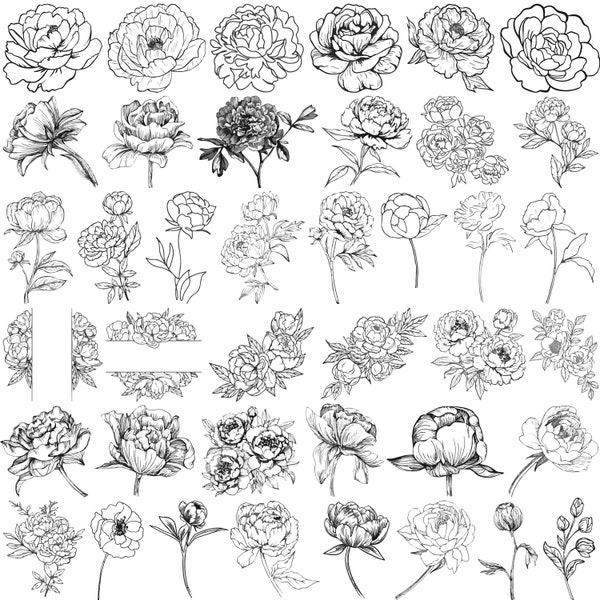 Peony Flowers Svg Bundle, Peony Plant Bouquet Svg, peony wreath svg,  Peony clipart, Peony leaves svg, Flower wreath Svg, Wedding Peony Svg