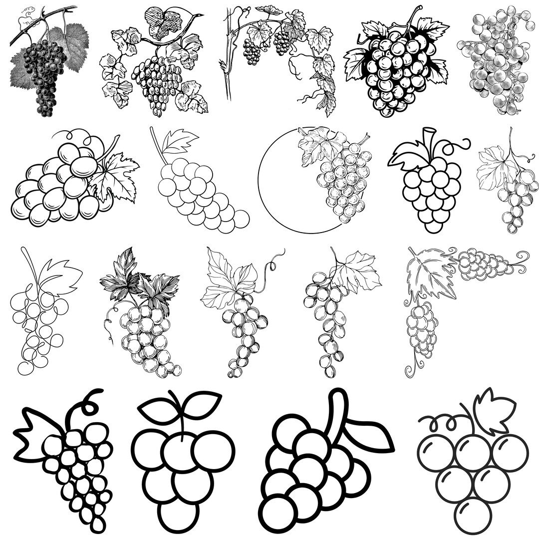 Grapes SVG Bundle, Grape Cricut, Grape Vector, Grape Silhouette, Grape