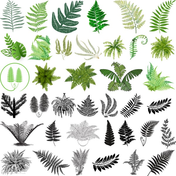 Fern Leaves Svg, Botanical Silhouette, Fern Cricut, Fern Svg Bundle, Fern Leaf SVG, Fern Clipart, Leaf Silhouette,