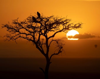 Mara Sunrise Print | African Wildlife Photography