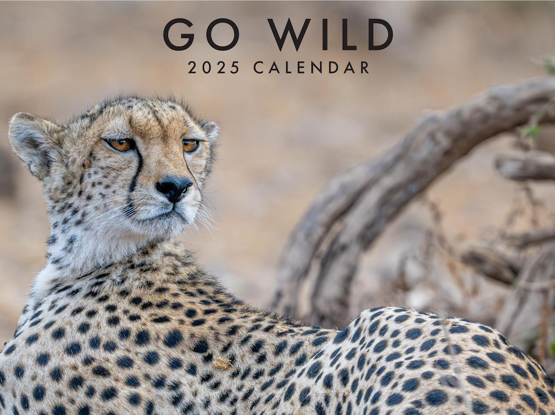 Go Wild 2025 African Wildlife Calendar 11 X 8.5 Etsy