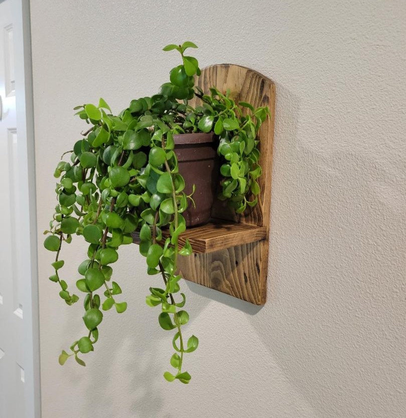 Rustic Wall Display Shelf Housewarming Gift for Friend Home Décor Gift