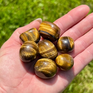 Polished Yellow Tiger Eye Tumblestone: Courage & Strength Crystal