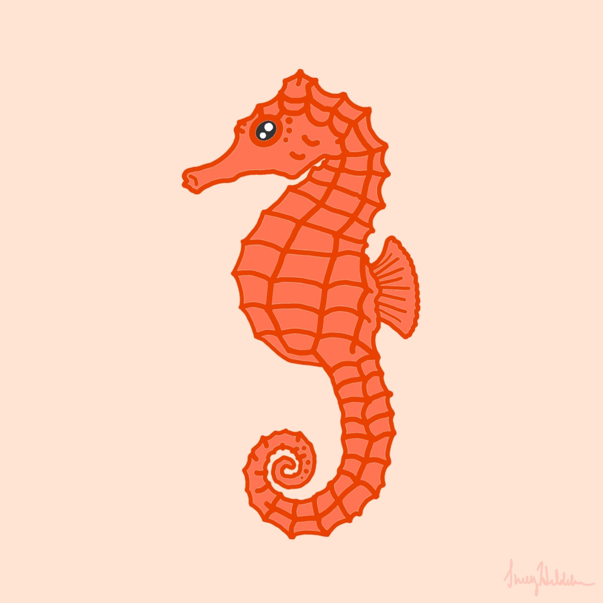 Peach Seahorse “Beach Bum” Print 8’x8’ Semigloss Cardstock