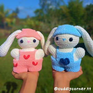Bunny in Overalls
