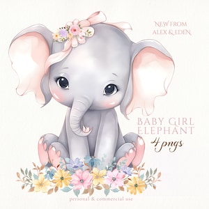 Bebê menina elefante png macacão clipart berçário png chá de bebê convite de aniversário adesivos aquarela tema safári para berçário download digital