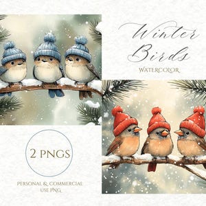 Oiseaux bleus cardinaux hiver PNG sublimation design oiseaux bleus cardinaux carte de vœux de Noël téléchargement numérique invitation design png