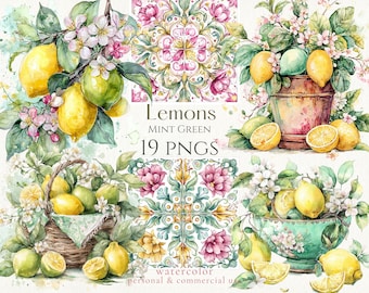 Watercolor Lemon Clipart 19 png Bundle: Amalfi Coast Italian Theme (Digital Download)