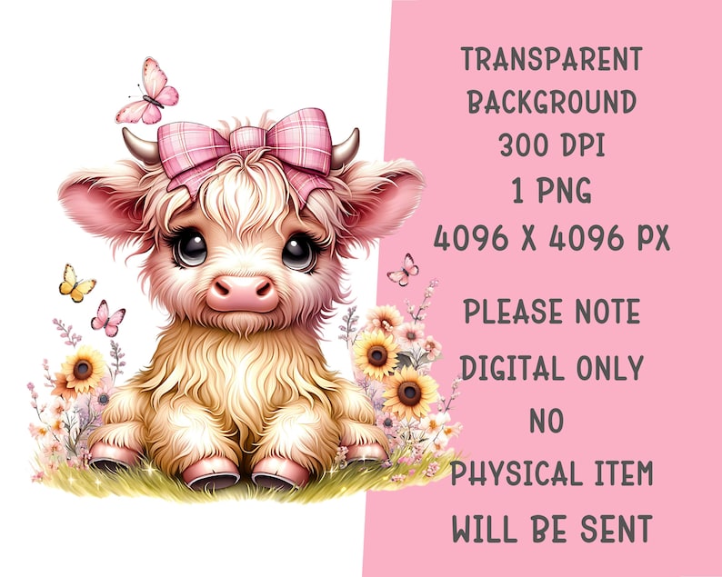 Baby girl Highland Cow nursery Coquette PNG with pink bow sunflowers Sublimation Design digital download onesies t-shirt POD product png.  For designing t-shirts, mugs, stickers, tote bags and other and POD products.  listing includes 1 PNG image with transparent background Size is 4096 x 4096 px, 300 dpi (high quality)  Immediate Digital Download. There is no physical product.  You can resize to create t-shirts, sweatshirts, mugs, mousepads, coasters, totes, or anything else you can sublimate