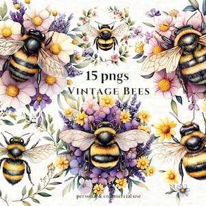 Watercolor Bee Clipart Bundle: Vintage boho Honeybees, pastel Flowers bumblebees (Digital Download, 15 PNGs)