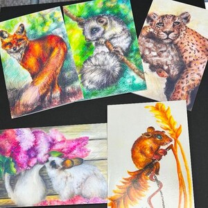 Original Artwork Wildlife Gift Cards