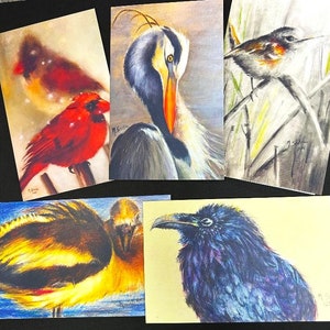 Original Artwork Wildlife Gift Cards
