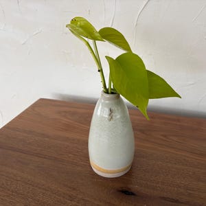 May include: A small, off-white ceramic vase with a light yellow band at the base, holding several bright green leaves. The vase sits on a dark brown wooden surface, with a textured white wall in the background.