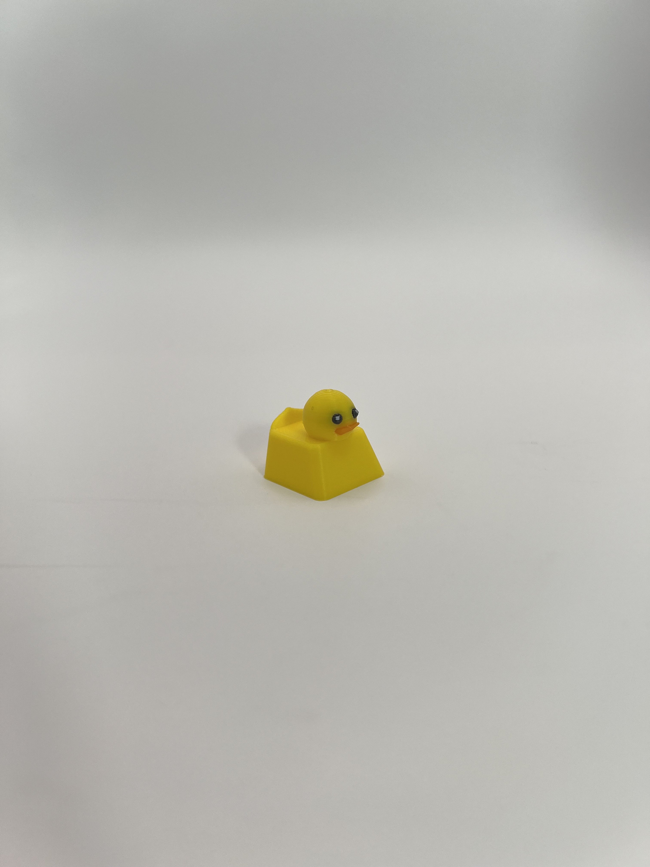 Computer Duck 