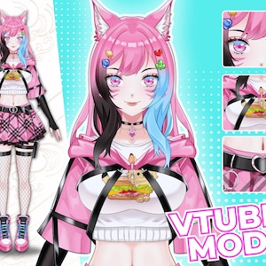 CUSTOM LIVE 2D VTUBER Model | Vtuber Asset | Vtuber Character | Vtuber Design | Vtuber Streamer | Live2D | Custom Vtuber | Rigging