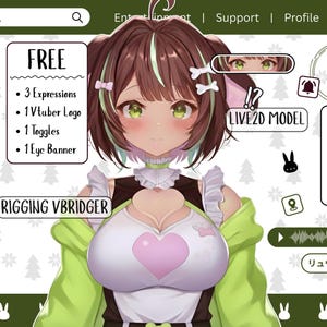 Kundenspezifisches VTuber Auftragsmodell mit Takelung - Anime Art PNGTuber Design für männliche & weibliche Streamer