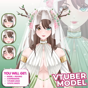 AANGEPASTE Vtuber-model voor commercieel gebruik | Live 2D Vtuber-model | Vtuber-ontwerp | Vtuber-activa | Pngknol | Anime-personage | VtuberRigging