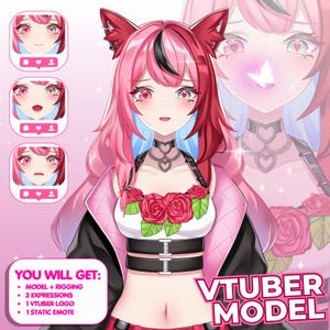 AANGEPASTE Vtuber-model voor commercieel gebruik | Live 2D Vtuber-model | Vtuber-ontwerp | Vtuber-activa | Pngknol | Vtuber-personage | Vtuber-rigging