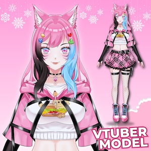 Aangepast Live2D VTuber-model, VTuber-ontwerp, VTuber-model, VTuber Asset, VTuber-commissie, Aangepast PngTuber, Live2D-commissie, Live2D-model