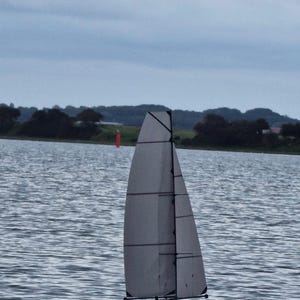 butterfly sailing downwind