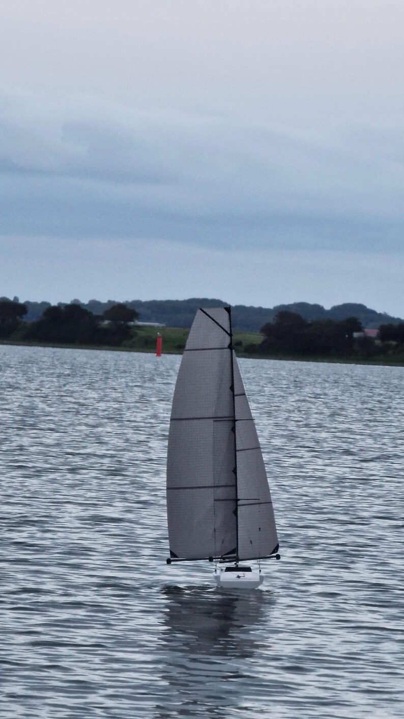 butterfly sailing downwind