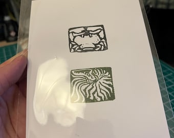 Shellfish Print in Green & Black