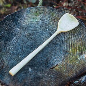 Hand Carved Spoon