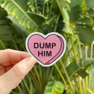 Vinyl Herz Aufkleber Dump Him, bestes Geschenk, niedlicher lustiger Aufkleber, wasserdicht und langlebig
