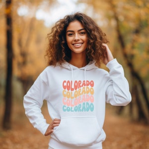 Colorado Hooded Sweatshirt, CO State hoodie, Retro Colorado sweater
