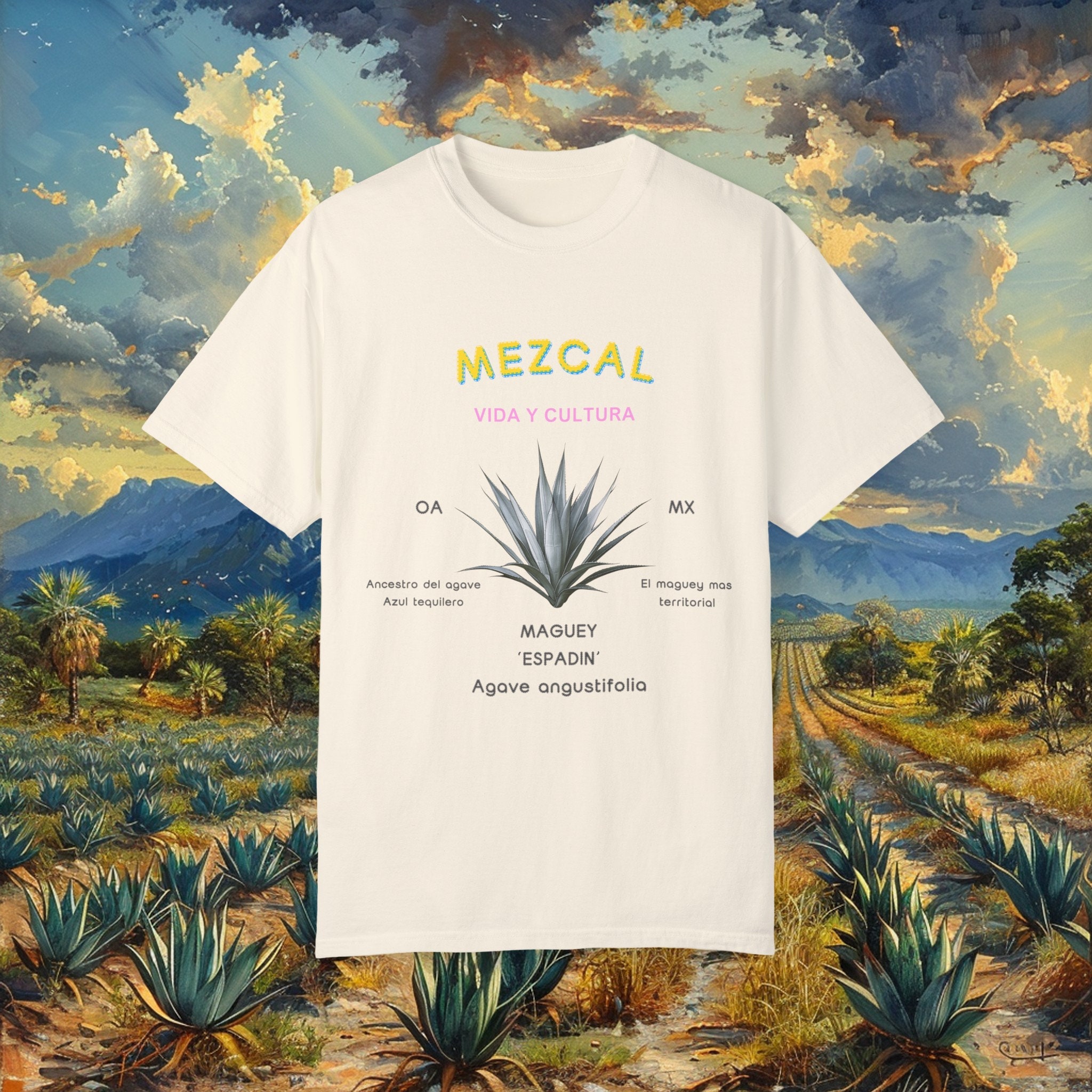 agave franzosini Agave franzosinii – Succulent Gardens main image 1