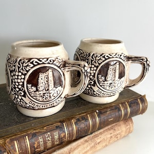 May include: Two vintage ceramic beer steins with handles. The steins are beige with brown accents and feature a circular emblem with a castle and the word "DRACHENFELS". The steins are decorated with grape vine patterns and sit on top of antique books.
