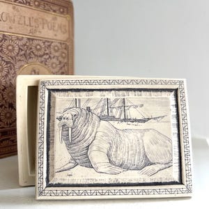 May include: A rectangular, off-white ceramic box with a hinged lid. The box features a black and white illustration of a walrus and a ship. The walrus is lying down, and the ship is in the background. The box is next to a vintage book.