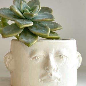 May include: A white ceramic planter shaped like a human face, with a succulent plant. The planter has facial features including eyes, a nose, and a mouth. The succulent has green and blue-green leaves.