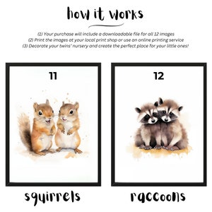 May include: Two watercolor illustrations of animals. The first image shows two squirrels standing side-by-side. The second image shows two raccoons standing side-by-side. The images are labeled with the numbers 11 and 12, and the words "squirrels" and "raccoons" are written below each image.