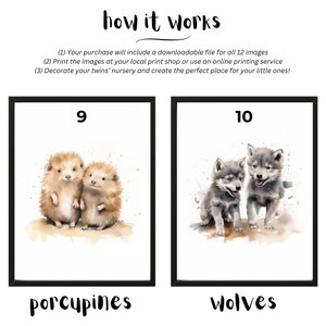 May include: Two watercolor illustrations of animal pairs. The first image shows two porcupines, the second image shows two wolves. The images are numbered 9 and 10.