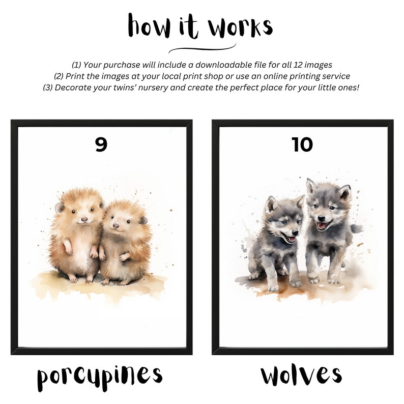 May include: Two watercolor illustrations of animal pairs. The first image shows two porcupines, the second image shows two wolves. The images are numbered 9 and 10.