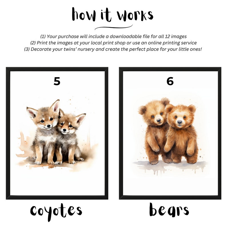 May include: Two watercolor illustrations of animal pairs. The first image shows two coyotes, and the second image shows two bears. Both images are numbered and have the animal name written below.