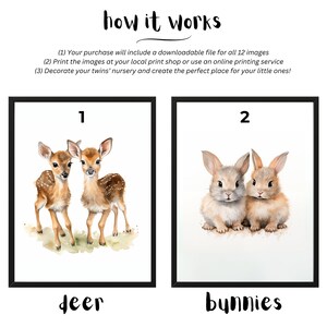 May include: Two watercolor illustrations of twin baby animals. The first image shows two deer fawns with brown and white spots. The second image shows two bunnies with brown fur. The images are labeled with the numbers 1 and 2, and the words "deer" and "bunnies" are written below each image.