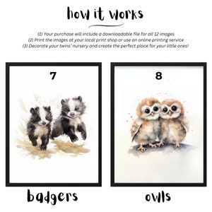 May include: Two watercolor illustrations of baby animals. The first image shows two baby badgers with black and white fur. The second image shows two baby owls with brown and white feathers. Both images have the numbers 7 and 8 above them, and the words "badgers" and "owls" below them.