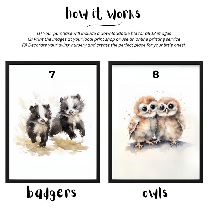 May include: Two watercolor illustrations of baby animals. The first image shows two baby badgers with black and white fur. The second image shows two baby owls with brown and white feathers. Both images have the numbers 7 and 8 above them, and the words "badgers" and "owls" below them.