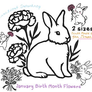 Peut inclure: Un dessin au trait noir et blanc d'un lapin avec des œillets et des perce-neige. Le texte "Carnation Snowdrop" est écrit en bleu au-dessus des fleurs. Le texte "Birth Month Flower for January" est écrit en noir et rose sous le lapin. Le texte "2 sizes" est écrit en noir au-dessus du texte "Birth Month Flower for January". Le texte "January Birth Month Flowers" est écrit en violet sous le lapin.