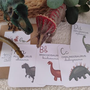 Abécédaire imagier des dinosaures - Cartes d'apprentissage parent enfant - Montessori - Flashcards