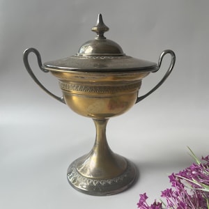 Può includere: Una coppa trofeo in metallo a due manici con coperchio, caratterizzata da una coppa e una base color ottone contrastate da accenti color argento sui manici, sul coperchio e sul bordo della base. L'oggetto presenta un piede a piedistallo.
