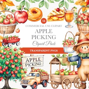 Apple Picking Clipart , Commercial Use , Fruit Clipart,  Fruits Clip Art, Transparent Background, Fall Clipart, Digital Image Downloads
