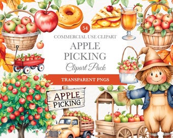 Apple Picking Clipart , Commercial Use , Fruit Clipart,  Fruits Clip Art, Transparent Background, Fall Clipart, Digital Image Downloads