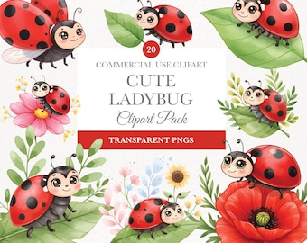 Clipart de acuarela de mariquita, adorable insecto PNG, descarga digital para decoración de guardería, lindo arte primaveral, uso comercial