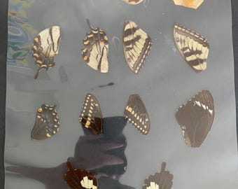 laminated wings for jewelry/ craft